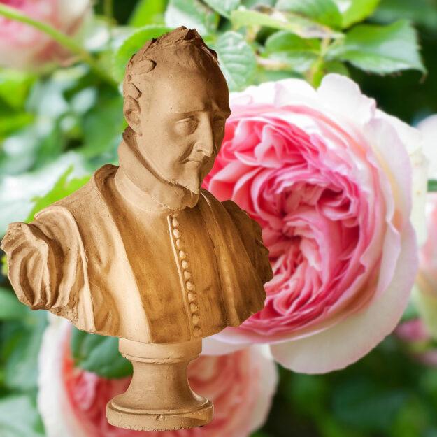 Buste et rose Pierre de Ronsard