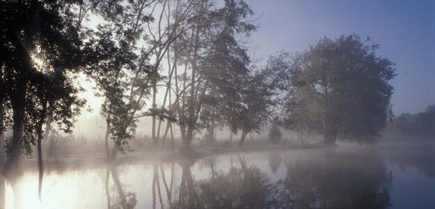 Domaine départemental de Chamarande
