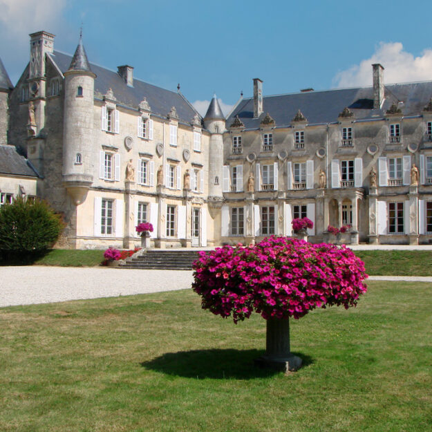 Château de Terre-Neuve