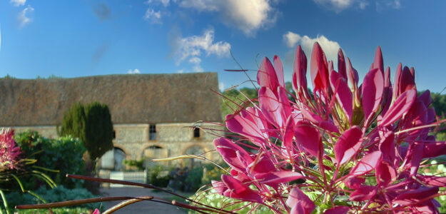 Domaine de l'Abbaye de Thiron-Gardais