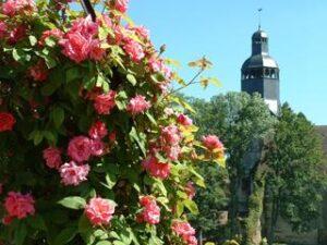 Visite parc et jardin