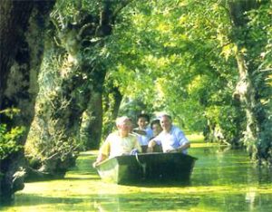 Visite en barque "Plate"