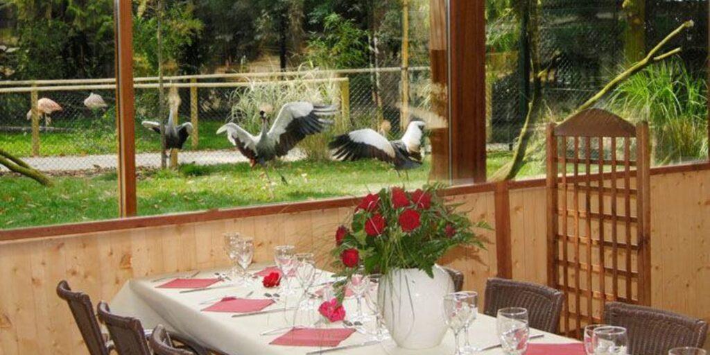 Pleugueneuc, Ile-et-vilaine, Bretagne, France, Europe, Restaurant la Palmeraie zoo-chateau de la Bourbansaie