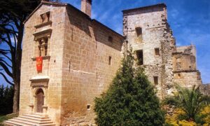 Visite du Château-Musée