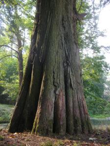 Europe, Luxembourg, France, Lorraine, château de Preisch, Visites Parc et jardin
