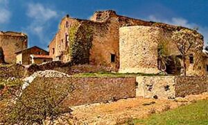 Visite du Château fort