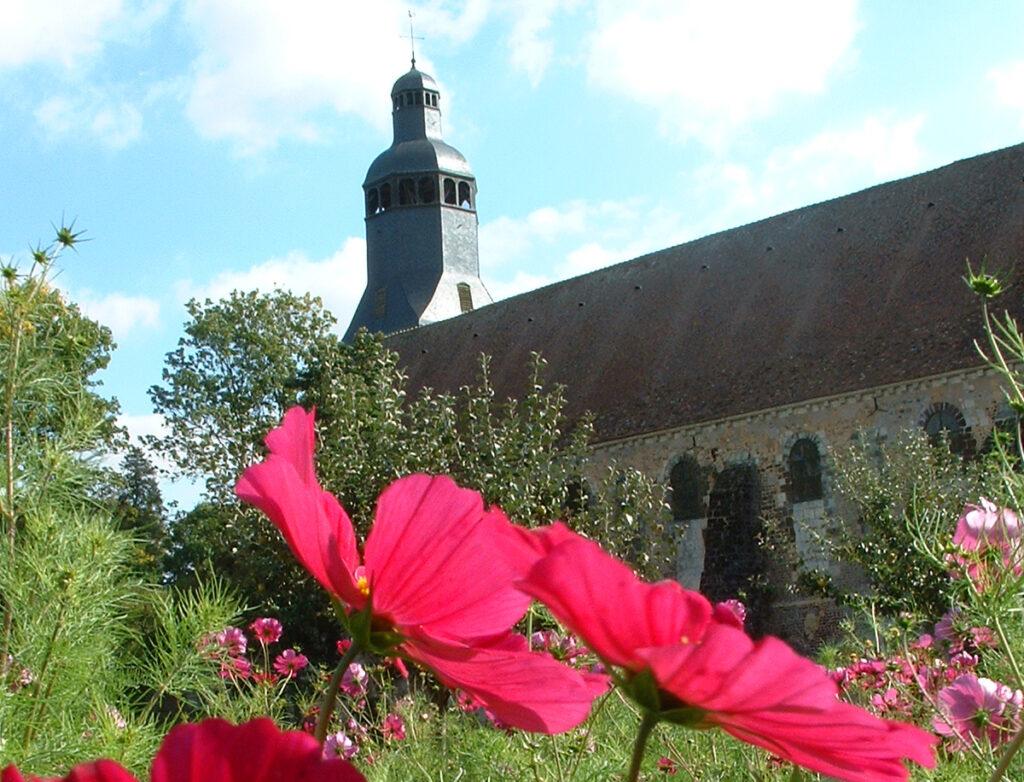 Les pavots, Jardins de l'Abbaye de Thiron Gardais
