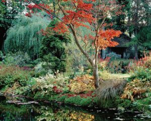 Jardin japonais au château de Courances