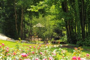 Jardin Rennaissance Europe, Centre, France, Val de Loire, Touraine, Visites Parc et jardin du Château du Clos Lucé - Parc Leonardo da Vinci