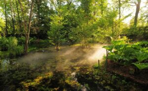 Lumières du matin, Europe, Centre, France, Val de Loire, Touraine, Visites Parc et jardin du Château du Clos Lucé - Parc Leonardo da Vinci