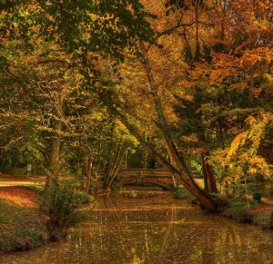 Parc Léonardo da Vinci à l'automne Europe, Centre, France, Val de Loire, Touraine, Visites Parc et jardin du Château du Clos Lucé - Parc Leonardo da Vinci